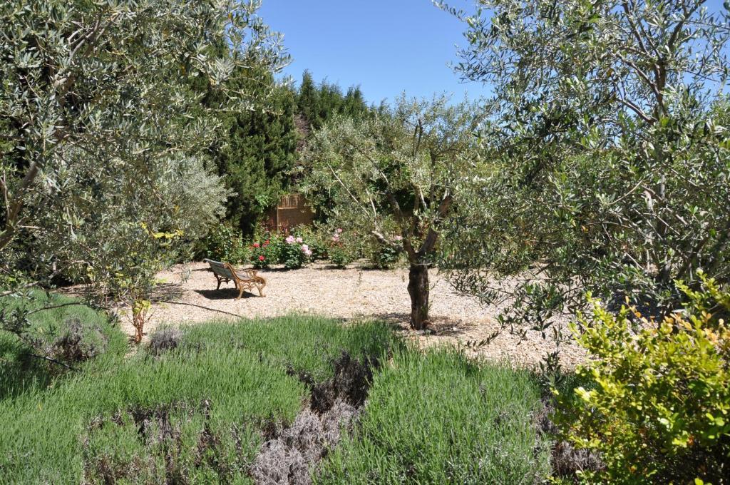 La Maison De Line Saint-Remy-de-Provence Bagian luar foto