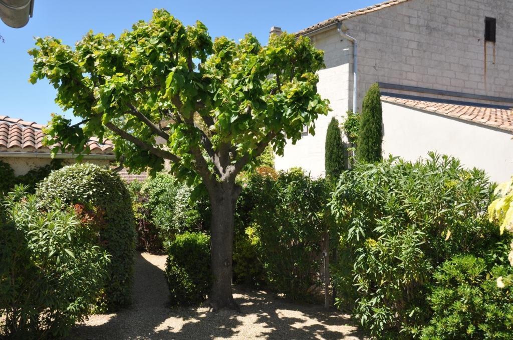 La Maison De Line Saint-Remy-de-Provence Bagian luar foto