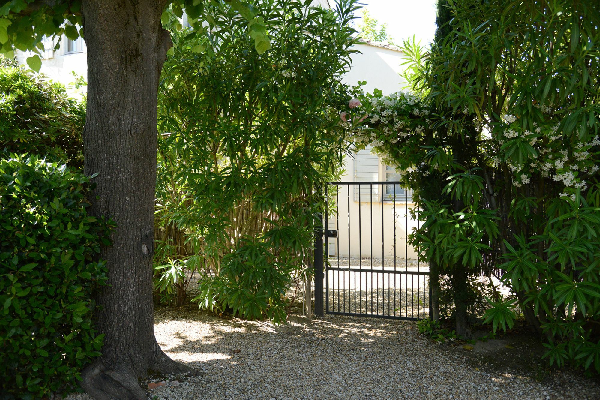 La Maison De Line Saint-Remy-de-Provence Bagian luar foto